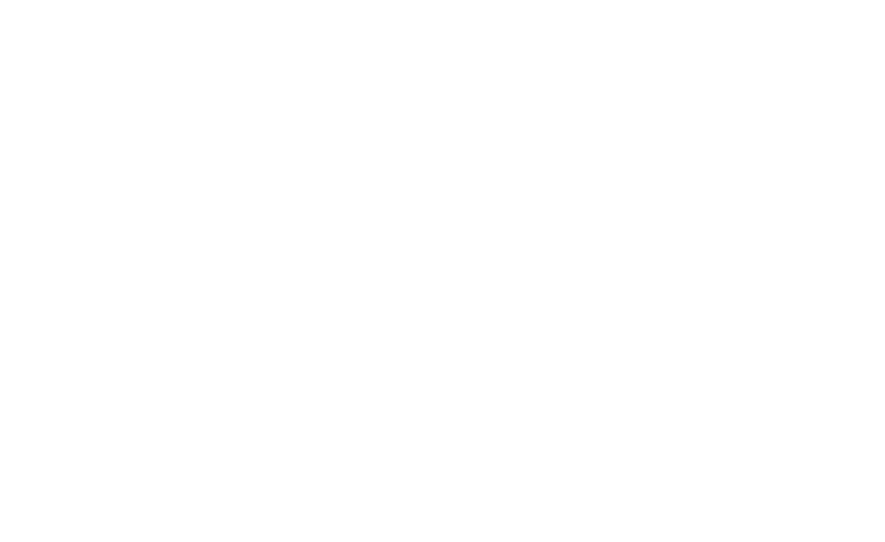 Baztel-logo-footer